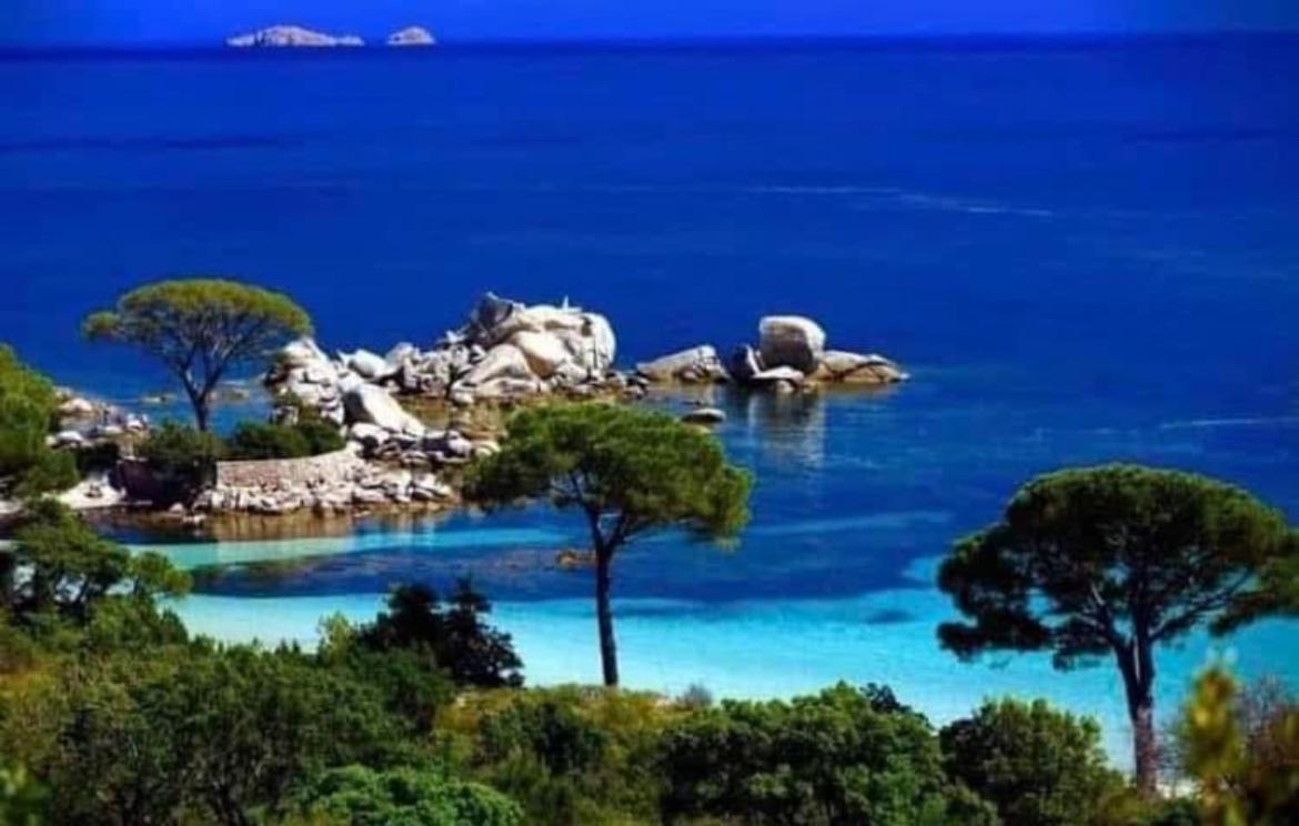 Villa Le Corail Rouge Corse Lecci Exterior foto